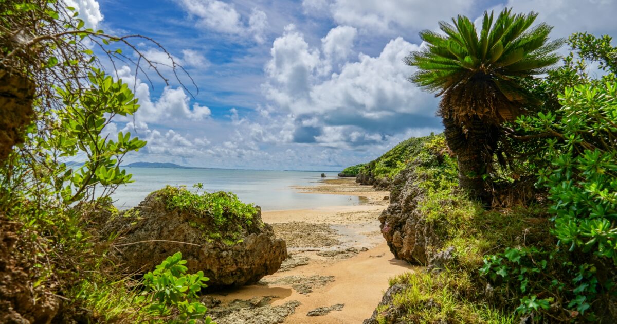 熱帯植物に囲まれた静かな入り江のビーチ