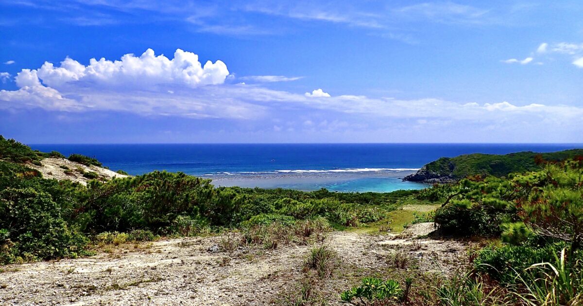 高台から望む青い海と緑に囲まれた岬の風景