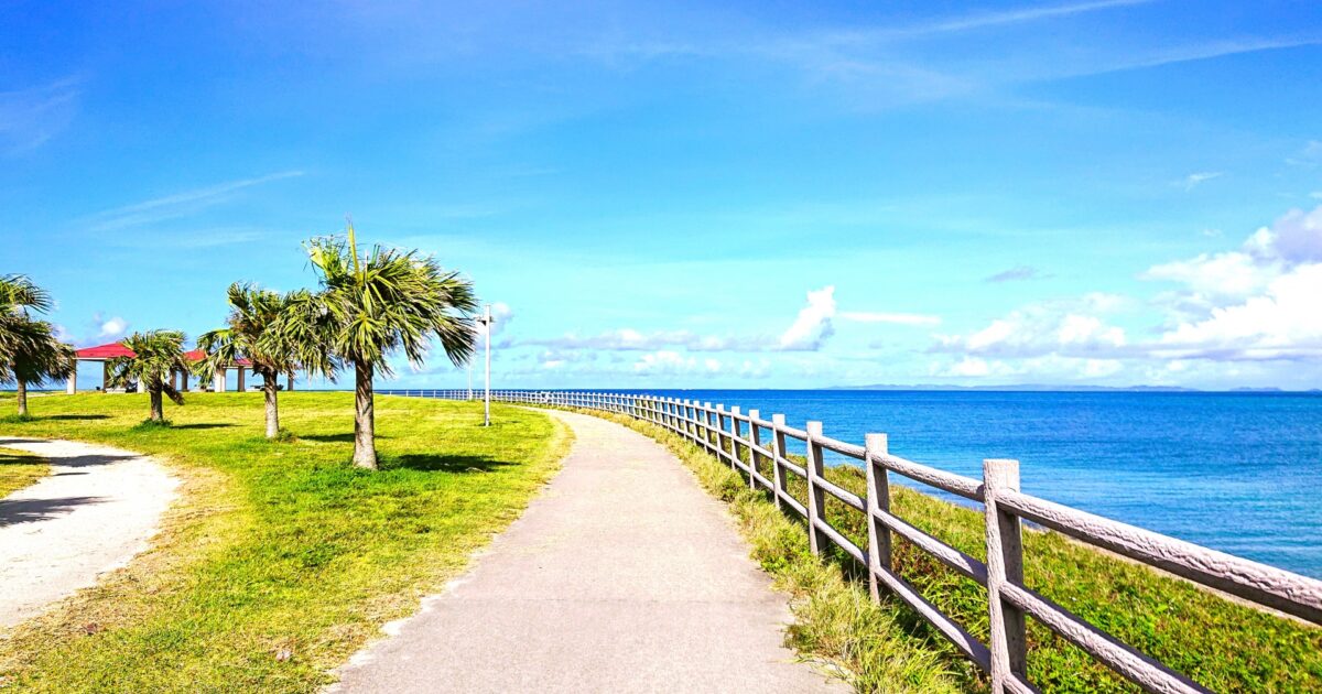 青い海沿いに続く遊歩道とヤシの木