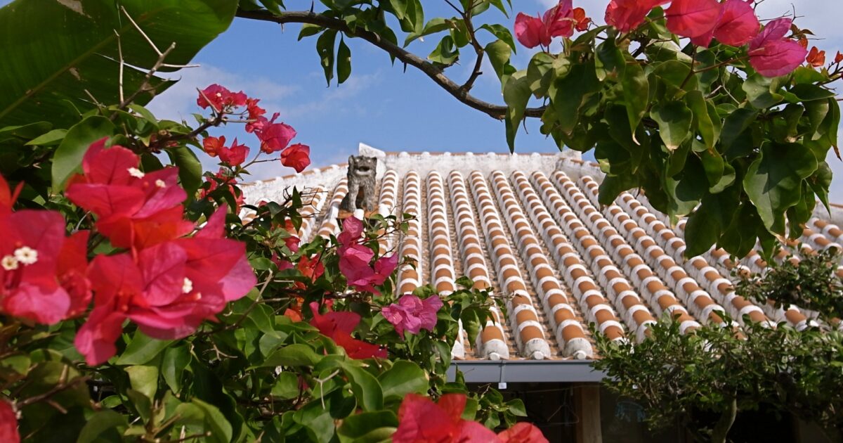 ブーゲンビリアと赤瓦屋根の沖縄伝統家屋