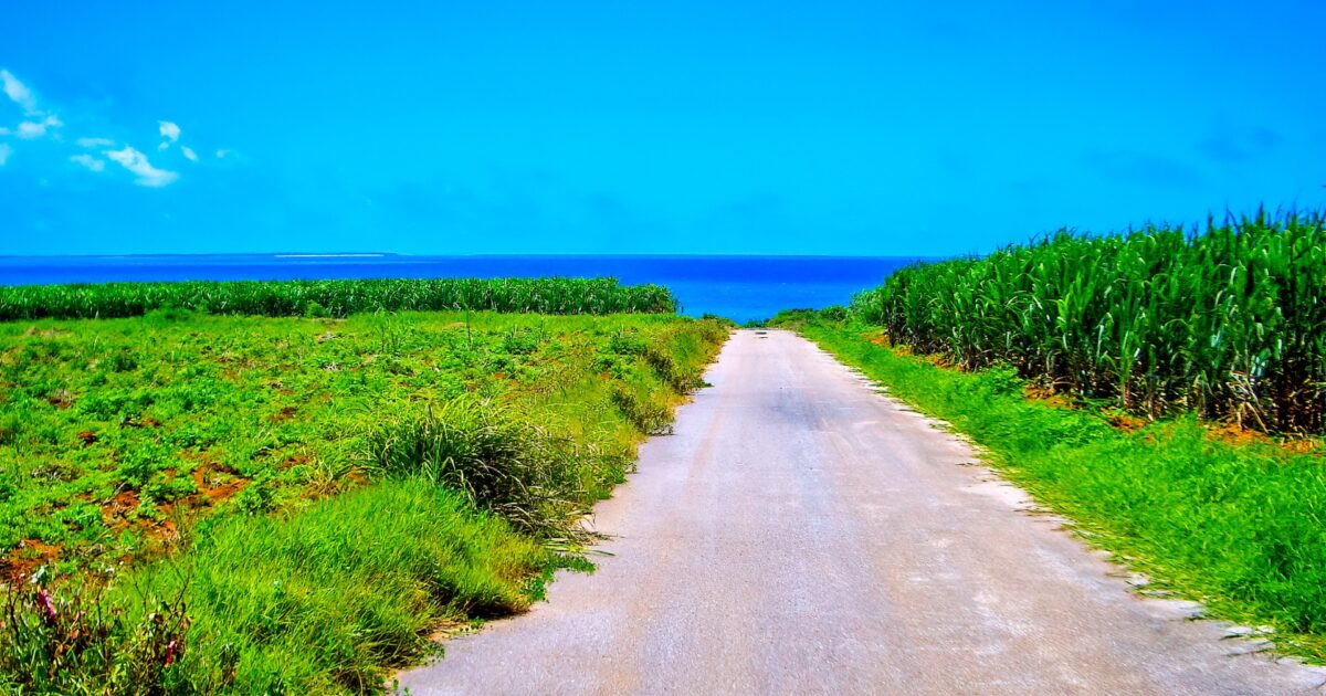 サトウキビ畑を抜ける海へ続く一本道