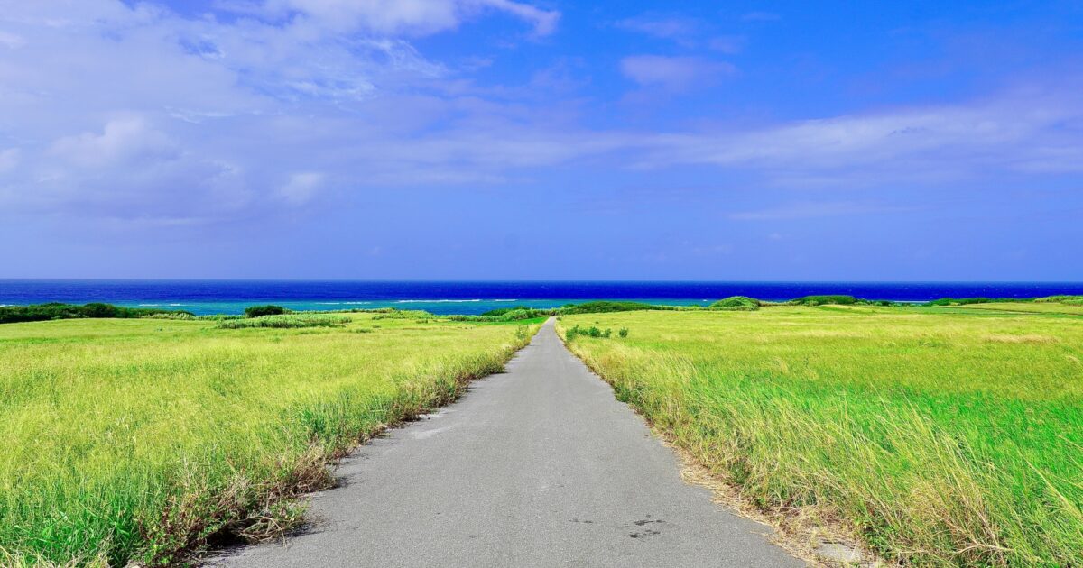 草原の中をまっすぐ伸びる道と青い海